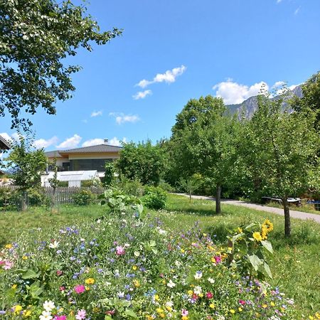 Ferienhaus Raich ヴァンダンス エクステリア 写真