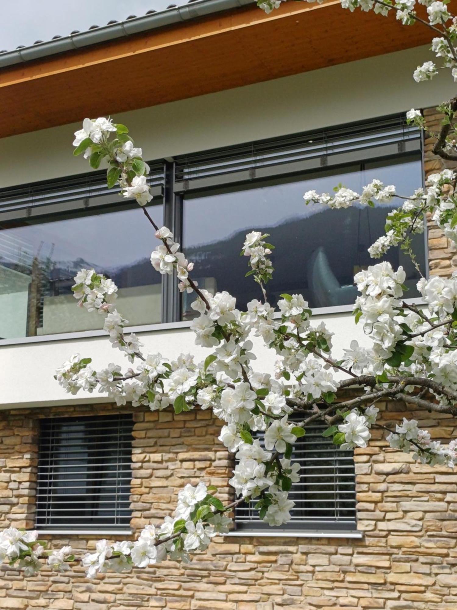 Ferienhaus Raich ヴァンダンス エクステリア 写真